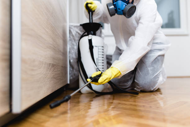 Pest Prevention Services in Washington, MO