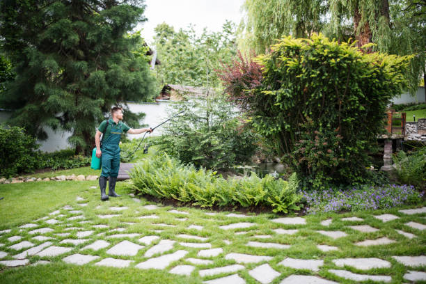 Best Pest Inspection Near Me  in Washington, MO