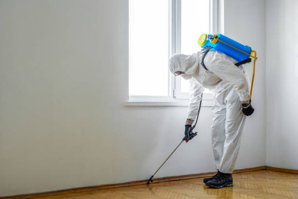 Best Residential Pest Control  in Washington, MO