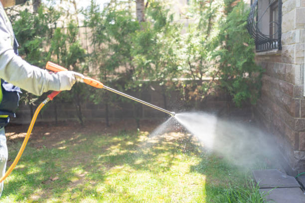 Best Mosquito Control Services  in Washington, MO