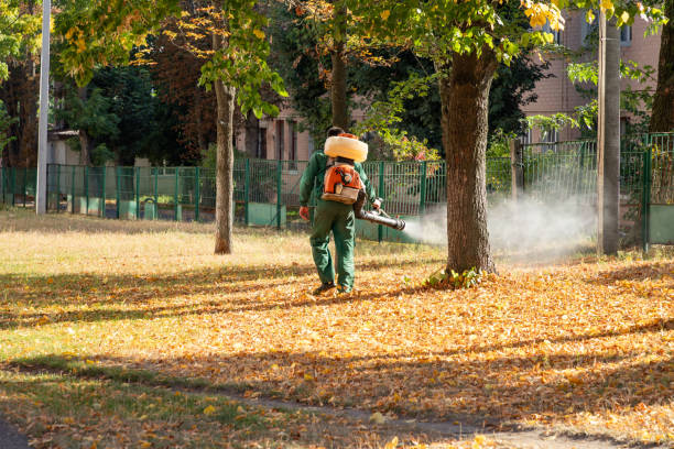 Wildlife Control Services in Washington, MO