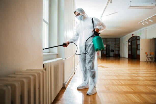 Best Best Pest Control Companies  in Washington, MO