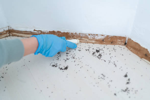 Best Commercial Pest Control Services  in Washington, MO